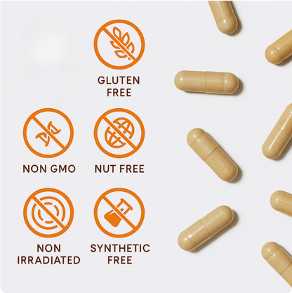 Give Your Brain The Dopamine Boost It Needs to Stay Focused, Organized, and Alert… Every. Single. Day.